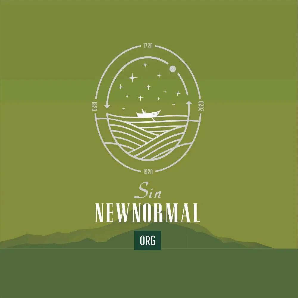 New Normal S.i.n Org satu box isi 10bks