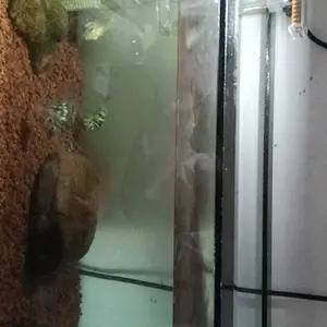 Lampu LED Type L + Kabel USB untuk Akuarium Mini / Aquascape