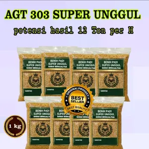 1Kg Benih Padi 303 AGT  Super Unggul Kualitas Premium Potensi Hasil 12 Ton Per Ha Daun Tegak Tanaman Hijau Batang Kokoh