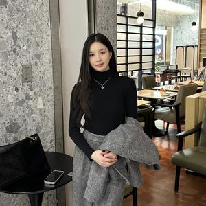 Women's Half High Neck Soft Knit Sweater, Autumn Winter Slim Fit Inner Layer Top, Casual Fashion Pullover for Daily Wear DL206 Knitwear Womenswear Basic Longsleeve Minimalist