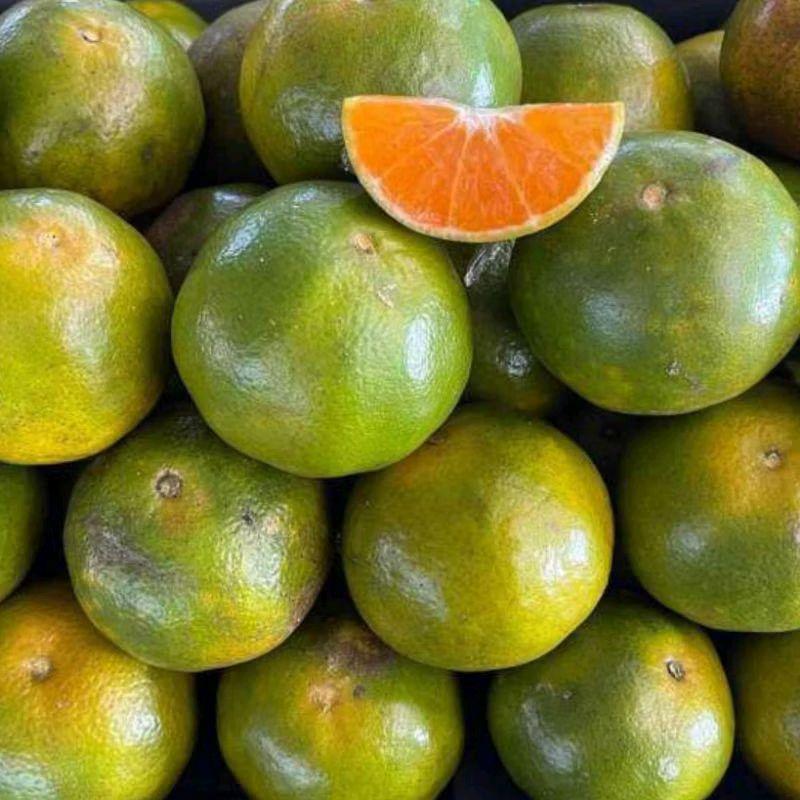 Limau Draw Buah Limau Madu Segar 1kg - TikTok Shop Malaysia