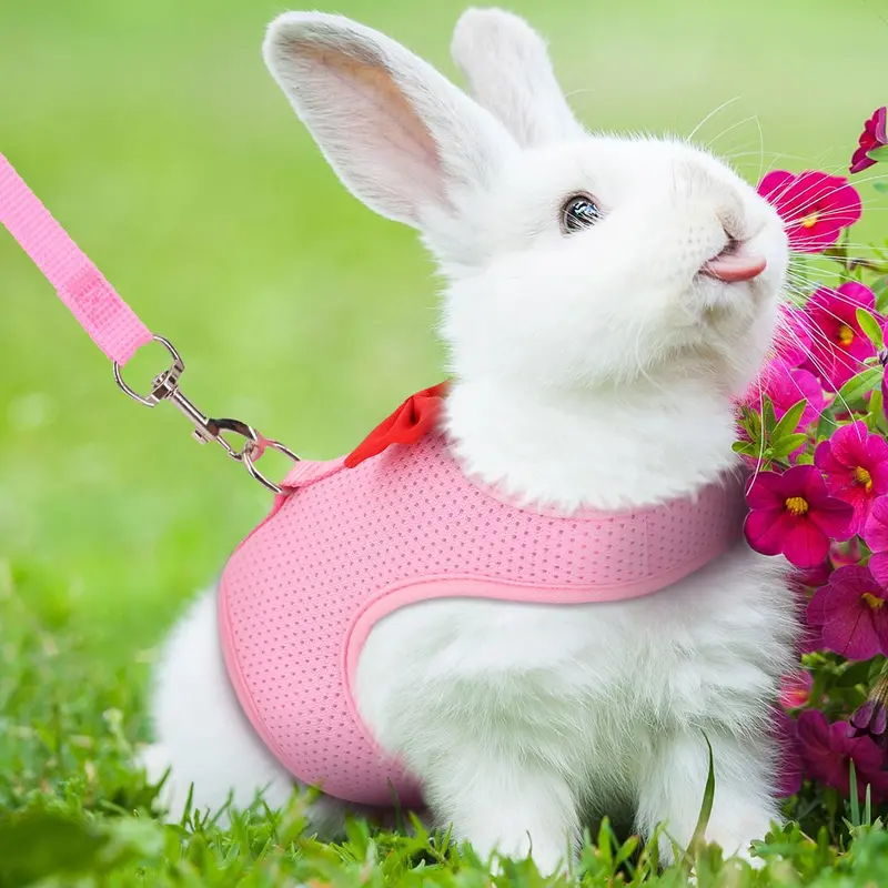 Bow Design Rabbit Harness With Leash, Adjustable Breathable Rabbit Harness, Pet Supplies For Indoor and Outdoor Walking, Small Animal Supplies 2