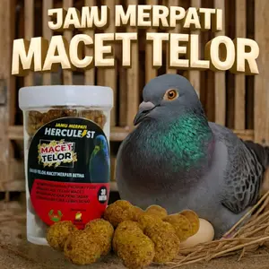 Jamu Merpati Macet Telor untuk Betina - Obat Terbaik untuk Masalah Telur Macet, 30 Butir