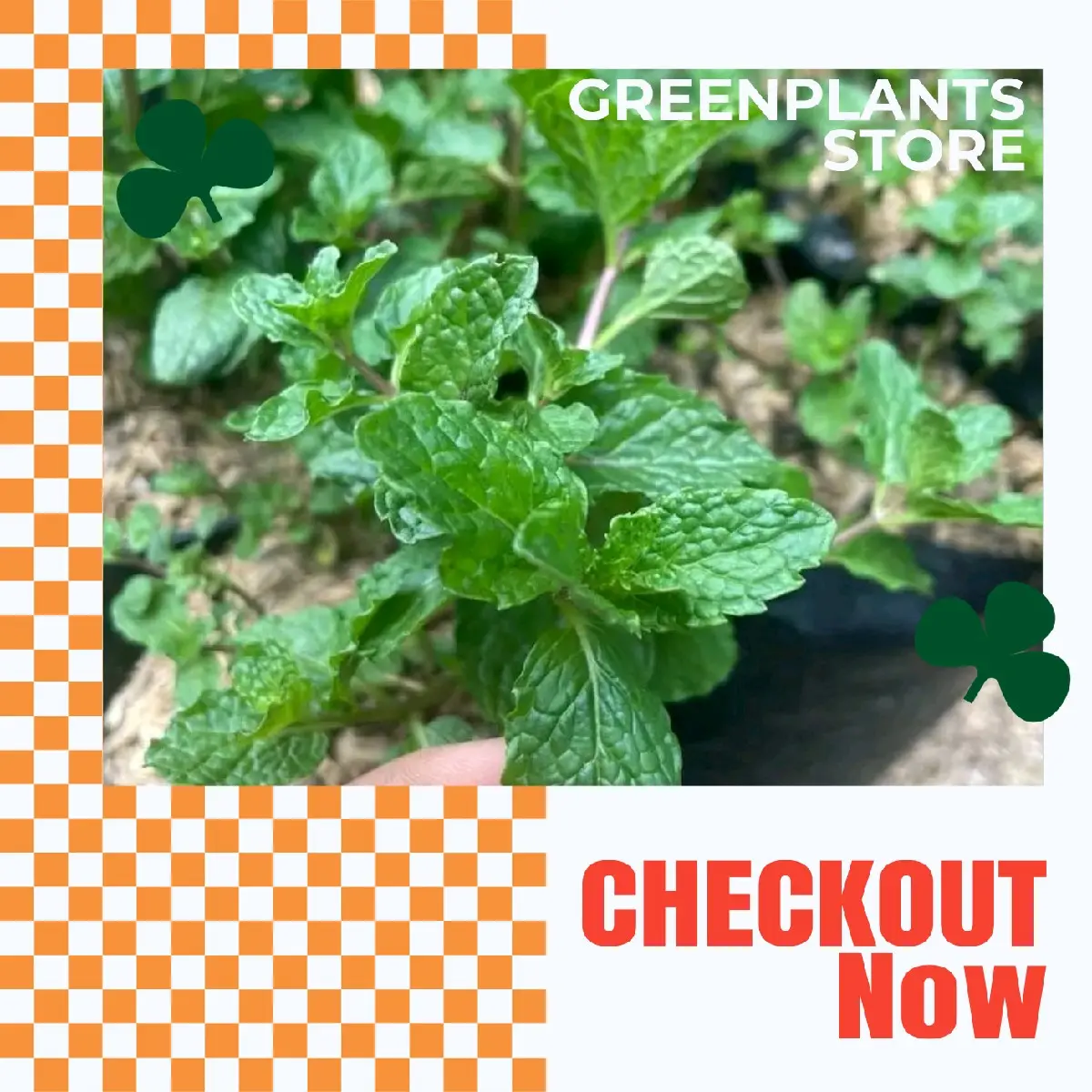 - Tanaman Artificial mint - Siap kirim Daun