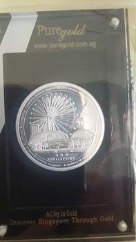 Product Review of 999 Pure Silver | 1 Oz SG Flyer Silver Medallion from L**i 0