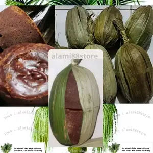 Gula Aren Murni 100%, Gula Aren Alami 100%