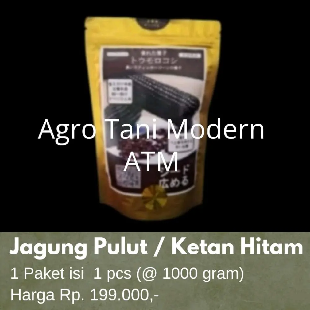 Benih Jagung Jepang Pulut / Ketan Hitam (Isi 1000 gram)