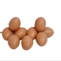 Gambar Mainan Anak Telor Plastik Murah - Produk TELOR PLASTIK untuk Anak dari Sgstoys Kota Malang 4 Tokopedia