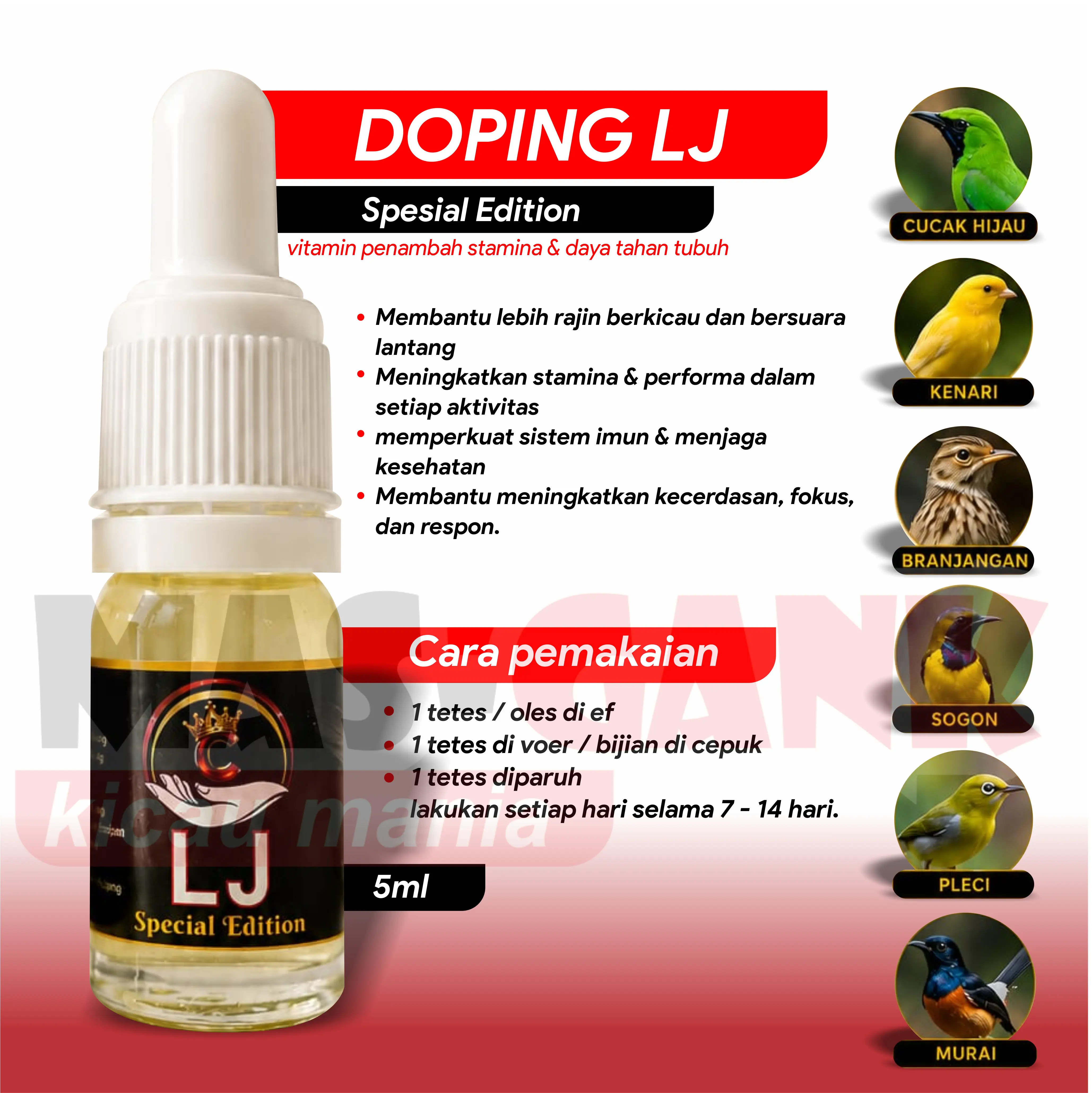 Metabolisme LJ Special kemasan 5 ml untuk segla jenis ocehan