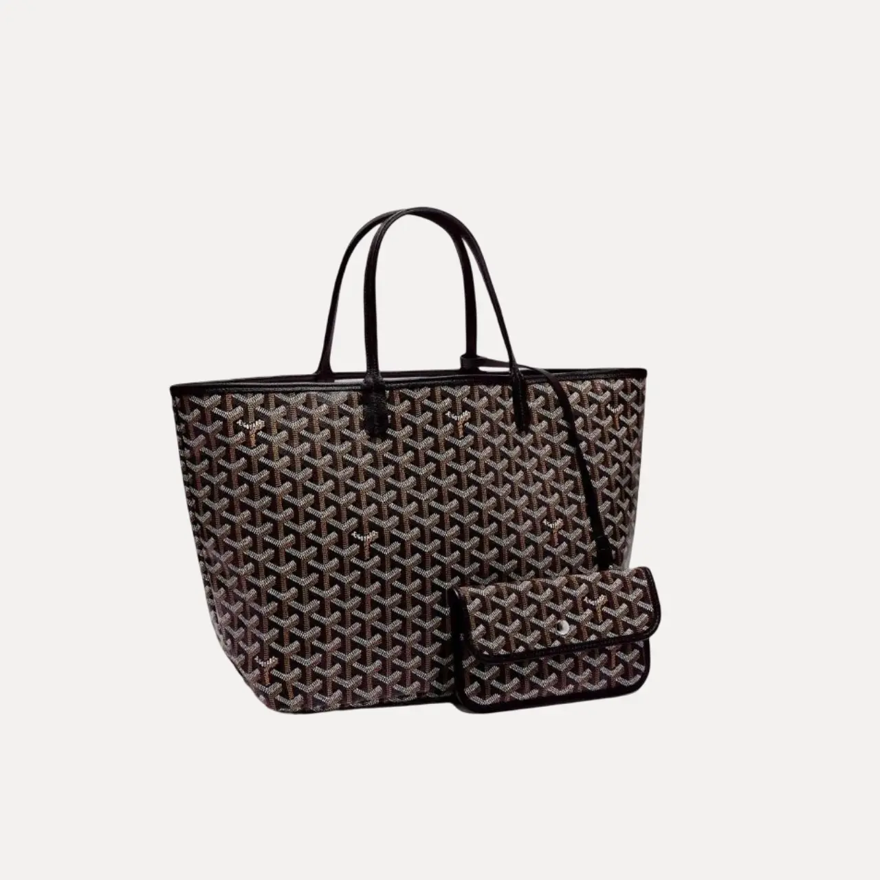 GOYARD SAINT LOUIS PM BAG