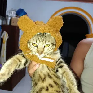 topi kucing anjing motif beruang dan kelinci