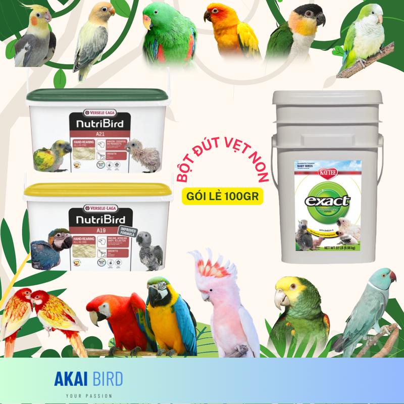 Bột A19 / A21 / Kaytee Dành Cho Vẹt Non...