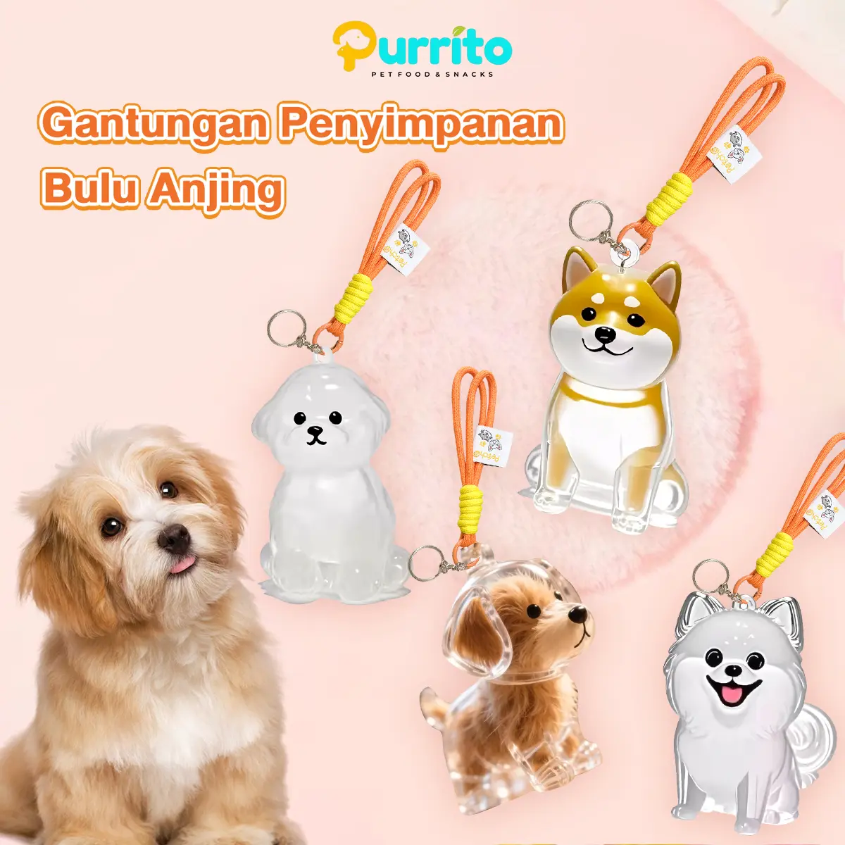 Purrito Pesona Kotak Penyimpanan Bulu Anjing Transparan - Didesain untuk menyimpan bulu anjing, hadiah kenang-kenangan yang bagus untuk pecinta anjing