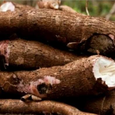 Singkong pulen enak manis singkong mentah 1kg 1