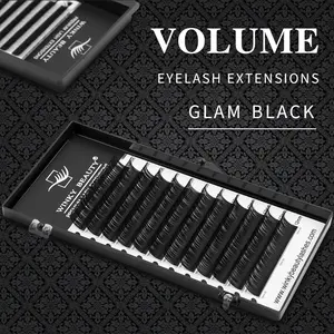Winky Beauty Individual Eyelash Extension B/C/CC/D/DD Faux Mink Cilias Soft Eye Lash Extension 3D Russian Volume Lashes Makeup - 200007566:200000349 200007567:201299273 200007568:100016942 200007763:201441035
