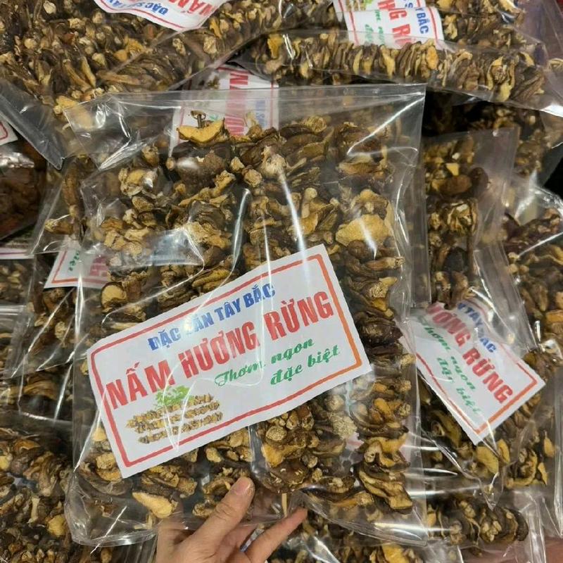  Nấm Hương Rừng Túi 0.5kg Nấm Xiên Que Đặc Sản Tây Bắc Thơm Ngon Đặc Biệt 