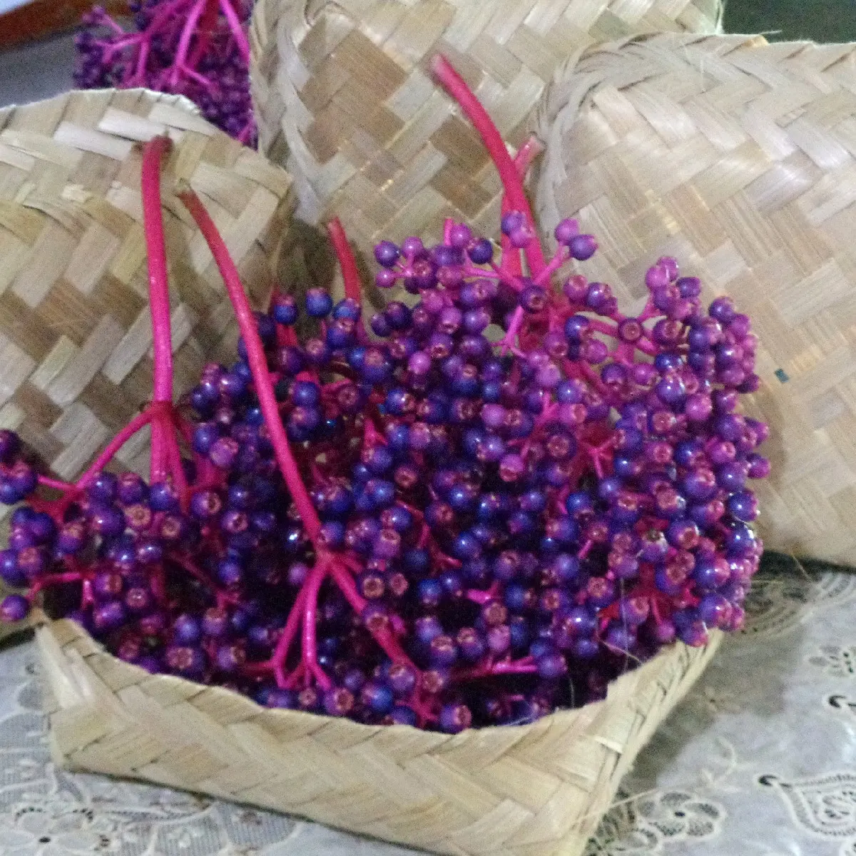 250 Gram Buah Parijoto Asli Muria serbuk zuriat asli dari Gunung Muria Kudus