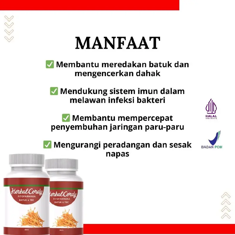 Herbal Cordy Atasi Batuk dan TBC, Mengurangi Peradangan dan Sesak Napas 1
