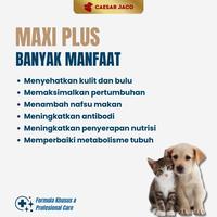 Gambar Vitamin Anjing Nafsu Makan Berat Badan Kurus Bulu Rontok Kusam dari Caesar JacO Kota Administrasi Jakarta Barat 3 Tokopedia