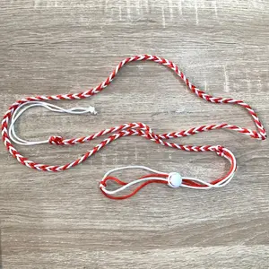 Pet Leash Tali Collar Hamster, landak, kelinci