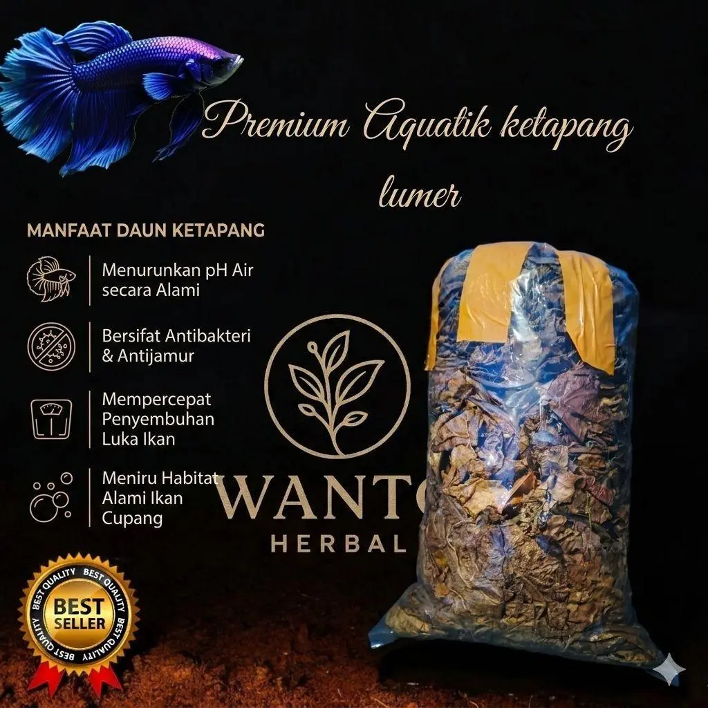 daun ketapang kering 500gram berkualitas super pekat