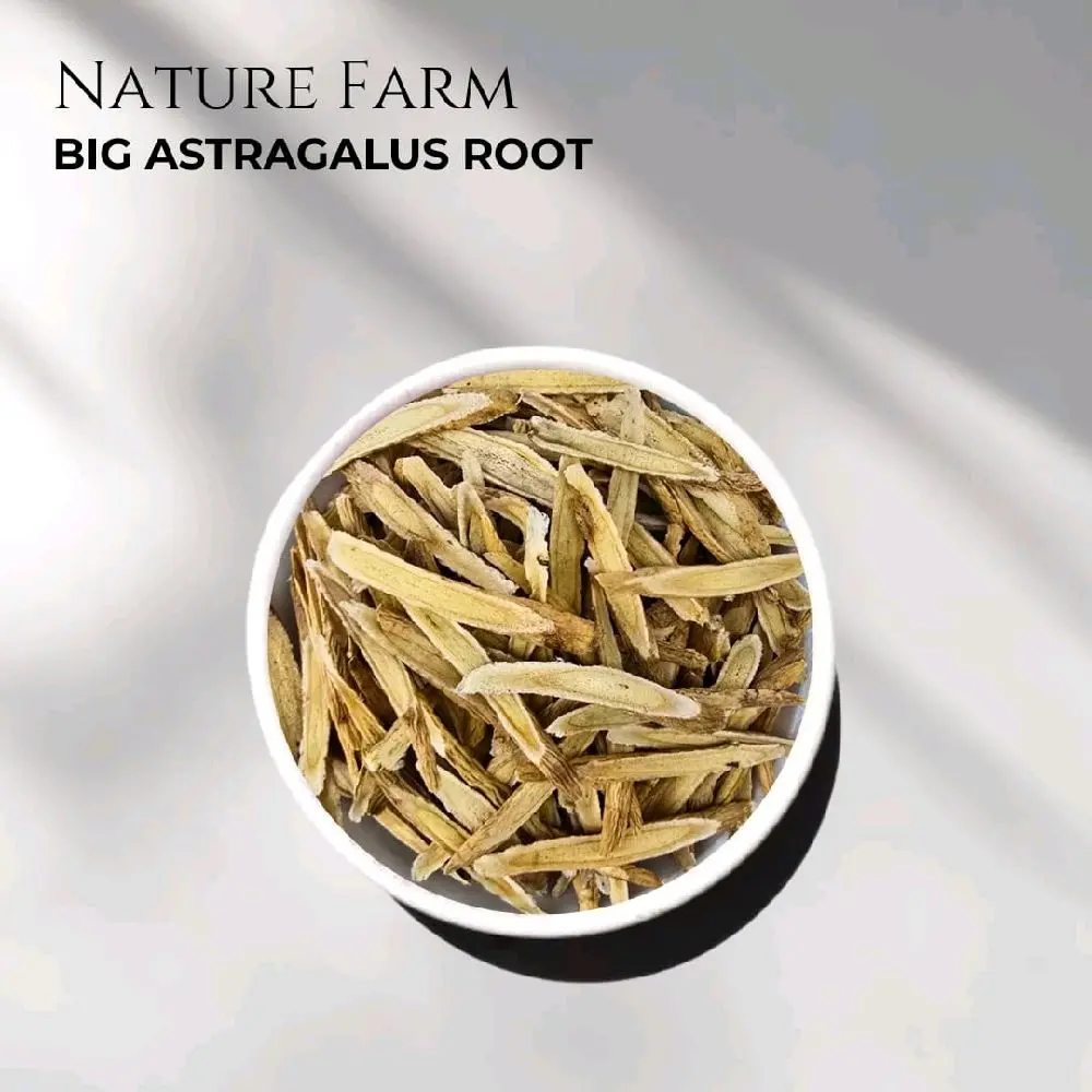 Premium Astragalus Root Huang Chi Phien Astragalus Propinquus good huang qi Astragali Radix Astragalus Membranaceus Recomended by Jackie Chan (Ukuran Besar) 100gr