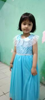 Product Review of BAJU FROZEN GAUN PESTA ANAK FROZEN BAJU PESTA ULANG TAHUN COSPLAY FROZEN ANAK from M**A A**A 1