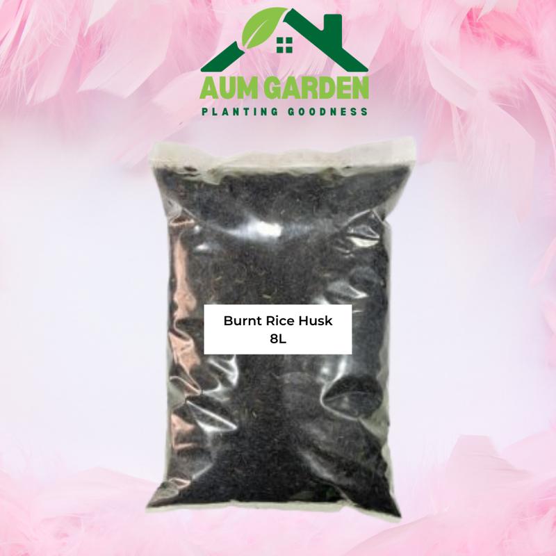 Burnt Rice Husk Gardening Medium - TikTok Shop Singapore