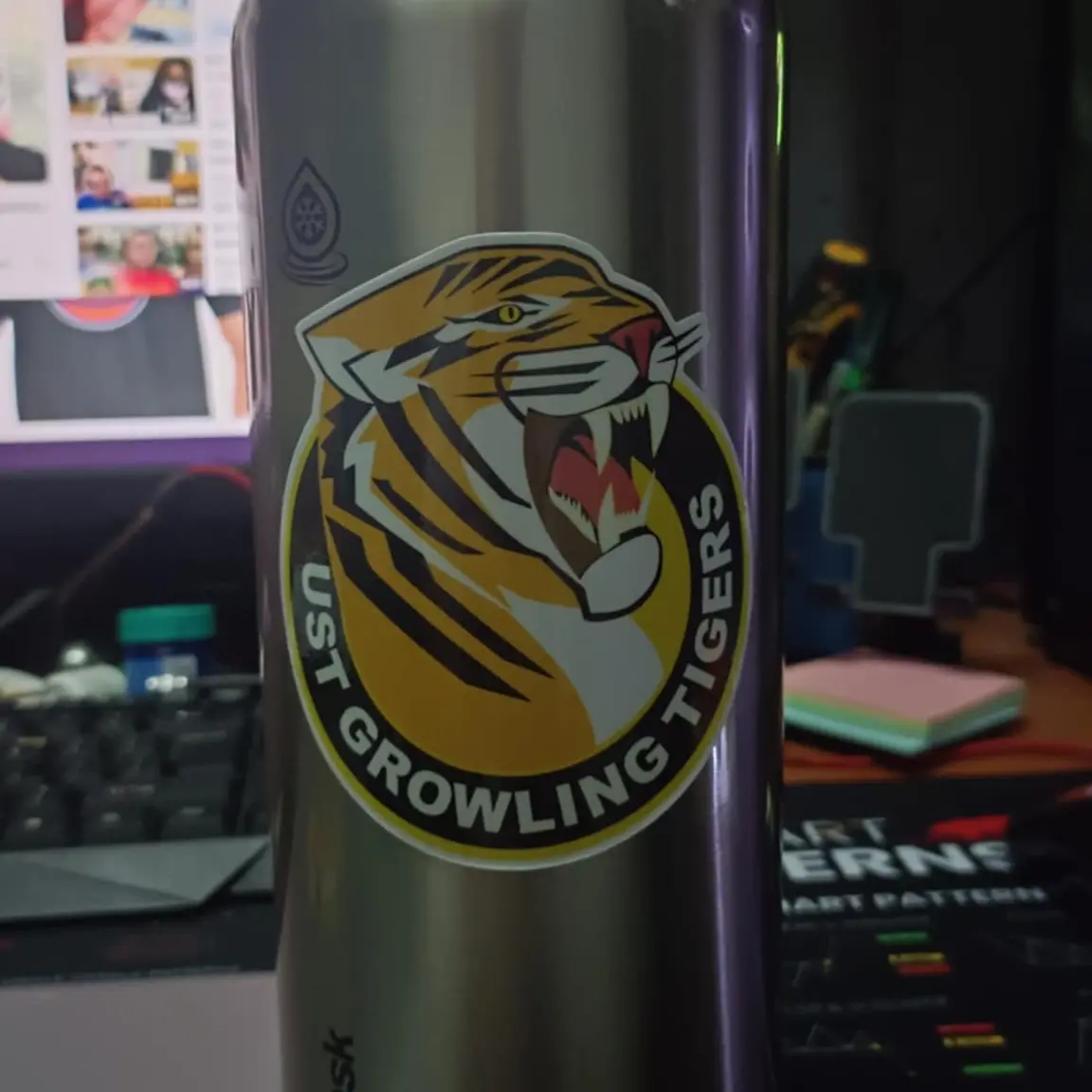 UST CAR STICKER PACKAGE 9 PIECES, UST Growling Tigers Car Stickers ...