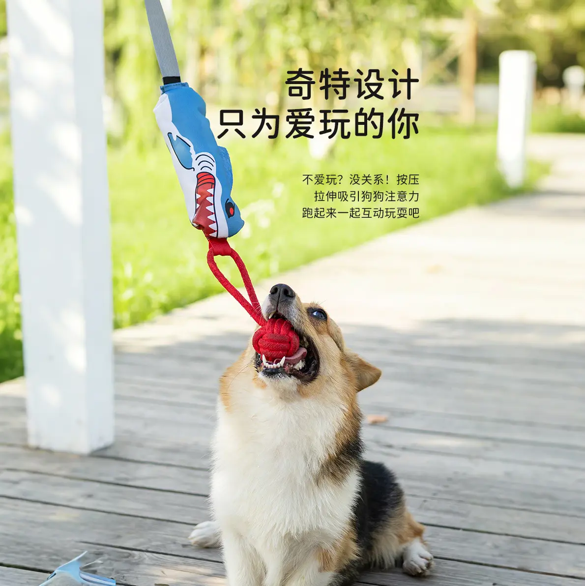 Đồ chơi âm thanh kéo Tương Tác cho chó, Thích hợp cho Golden Retriever, Samoyed và chó khác, Chiến Đấu tay đôi, Nhai răng, Nút thắt dây thừng, Đồ dùng cho chó, Thích hợp cho chó Nhỏ và Trung Bình Giảm sự nhàm chán, Đồ chơi cho chó