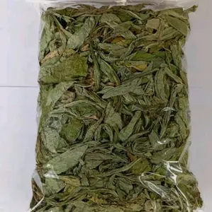Daun tempuyung kering natural organik