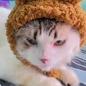 topi kucing anjing motif beruang dan kelinci