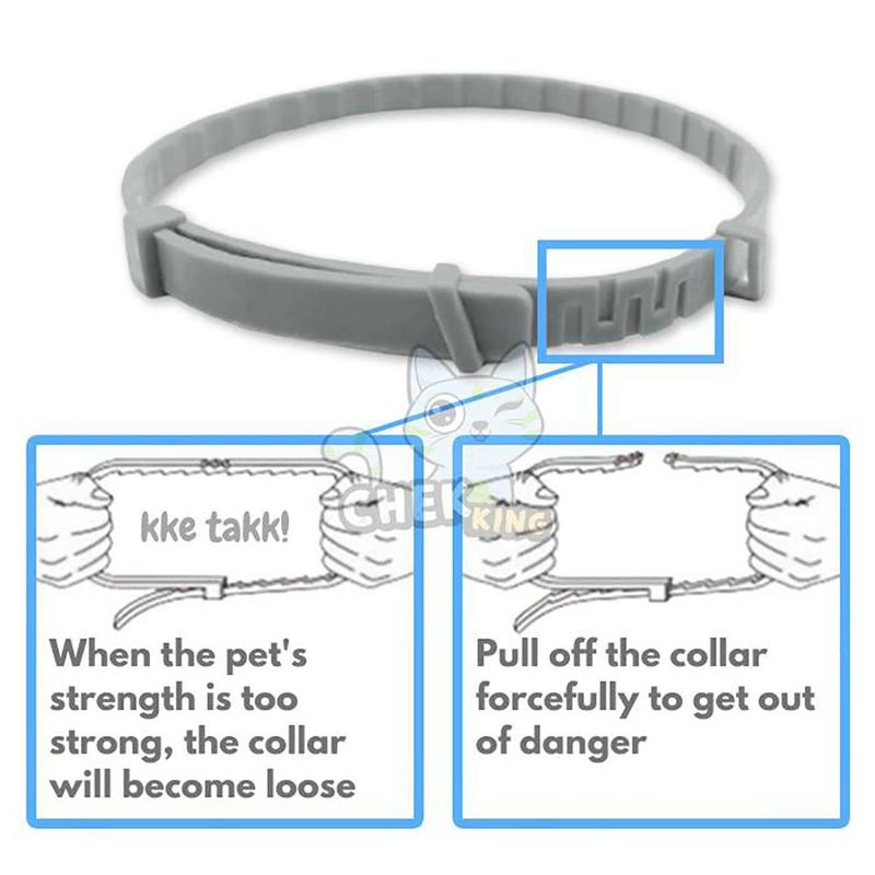 Product Introduction of Kolar Kucing Anti Kutu Anti Flea Collar Pet Collar Box for Dog and Cat Allergy Free Enhanced Natural Essential Oils Safe 15