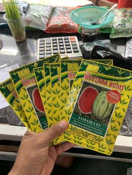 Product Review of Benih Semangka Lonjong Hibrida Jamaika F1 Isi 100 Butir Cap Mutiara Bumi from A**1 1