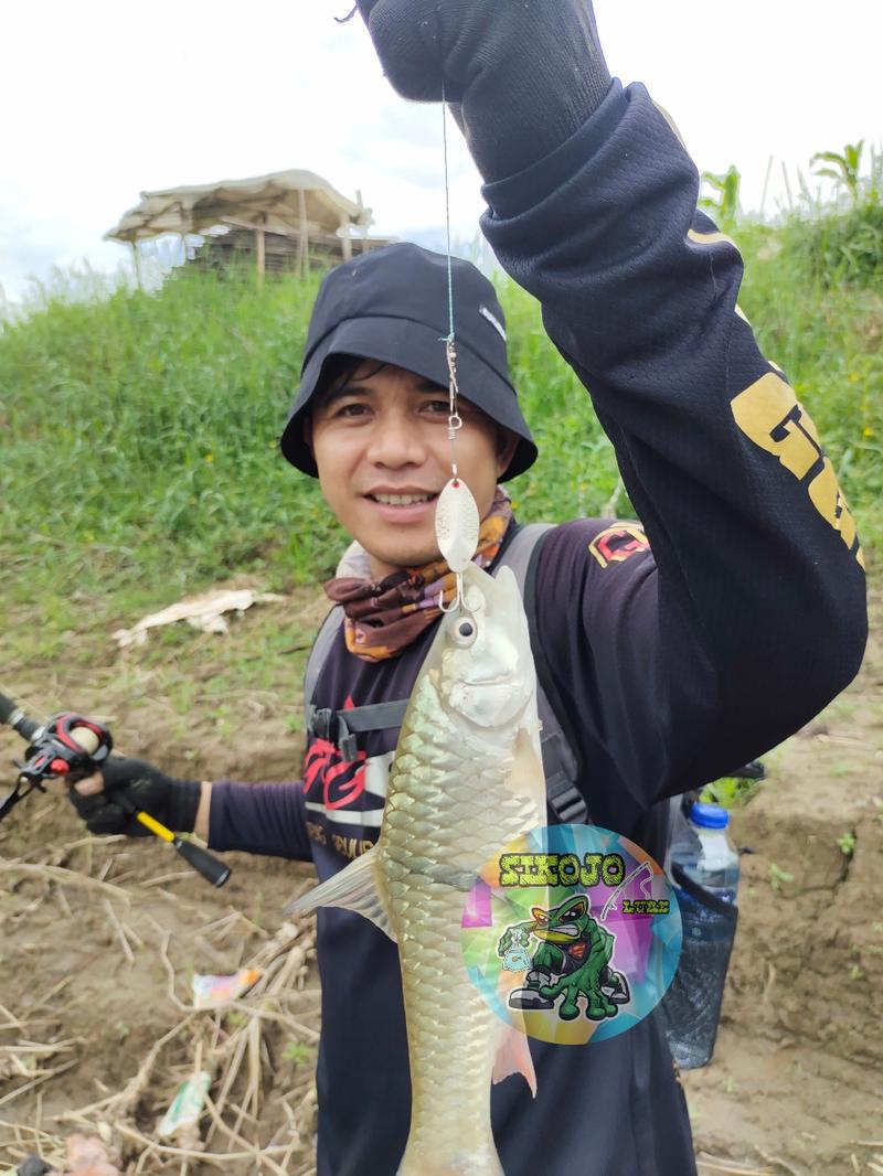 Product Introduction of Lure Soft Frog Mini umpan pancing Ukuran 3cm Berat 5grm Untuk Mancing Casting Ikan Gabus 14