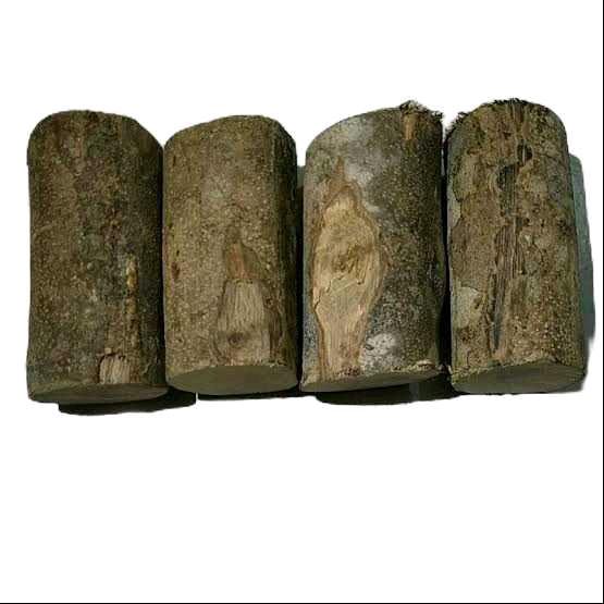 1000 gram kayu songga, kayu ular papua, kayu herbal, gelas songga, obat malaria, obat tradisional 7