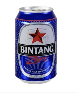Bintang Zero CAN CTN 330 ML