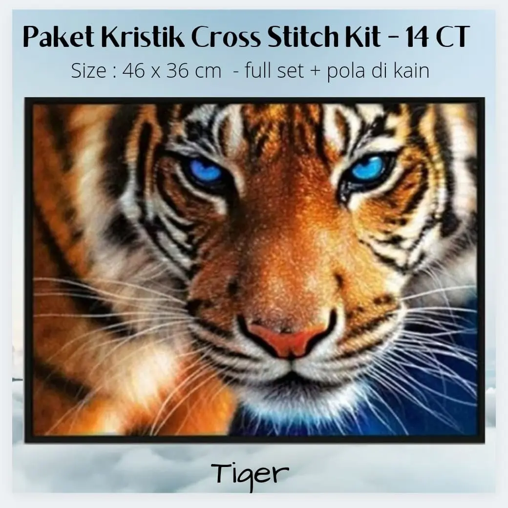 14CT - tiger