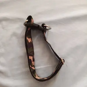 kalung anjing tebal motif loreng dog collar army | kalung kambing domba cempe