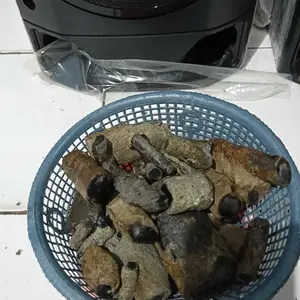 NATURALAN KALIMAYA BANTEN