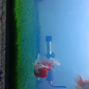 Rumput Sintetis Swiss ukuran 50cm X 30cm / Dekorasi Taman aquarium  / dekorasi taman artifisial. Green Hijau Alami