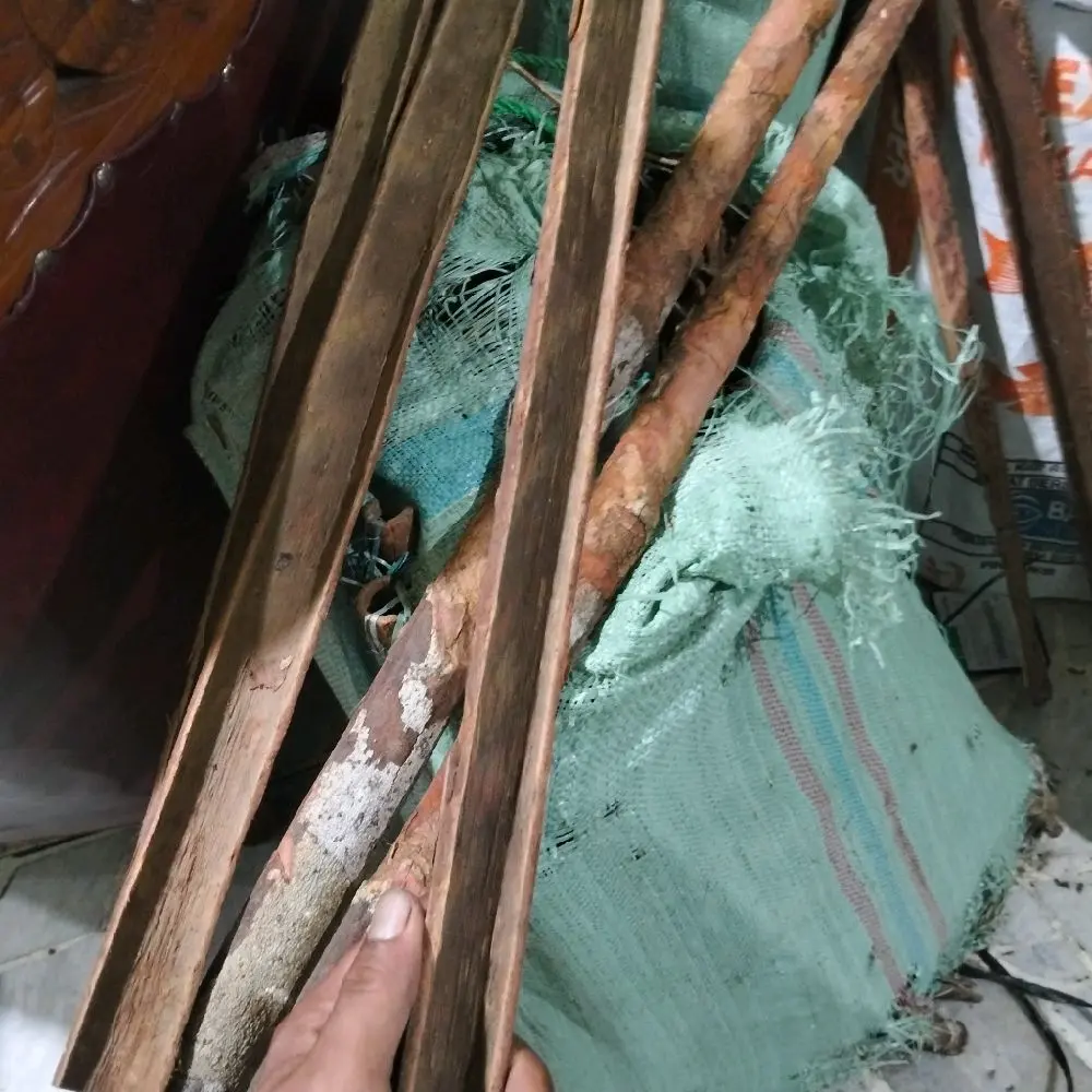 Raru siarang/raru sibolga 1kg