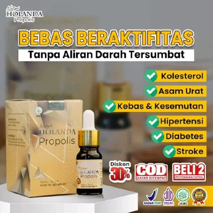 Holanda Propolis Atasi Atasi Kolestrol Asamurat Asli 1
