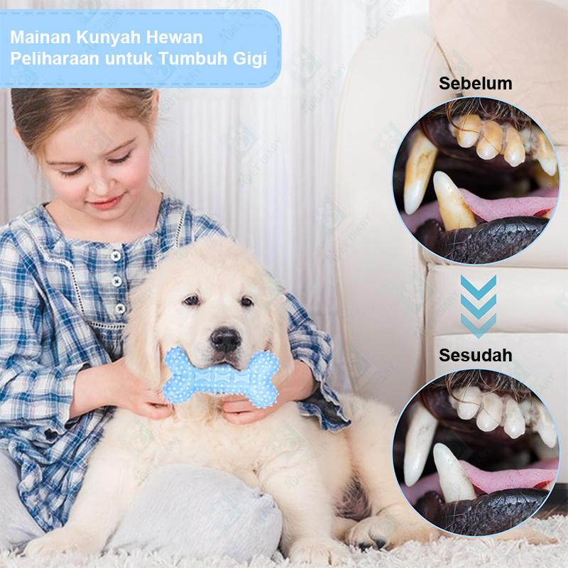 Mainan Kucing Gigitan Kunyah Untuk Anjing dan Kucing Pet Chew Toy TPR Bentuk Tulang Bola Bunga 2