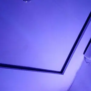 KROTO MADU SARI PAKAN BURUNG BERKICAU CEPAT GACOR RAJIN BERKICAU