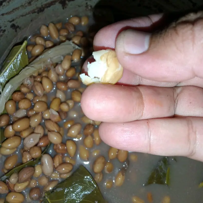 Umpan bawal kacang presto + essen bawal 2