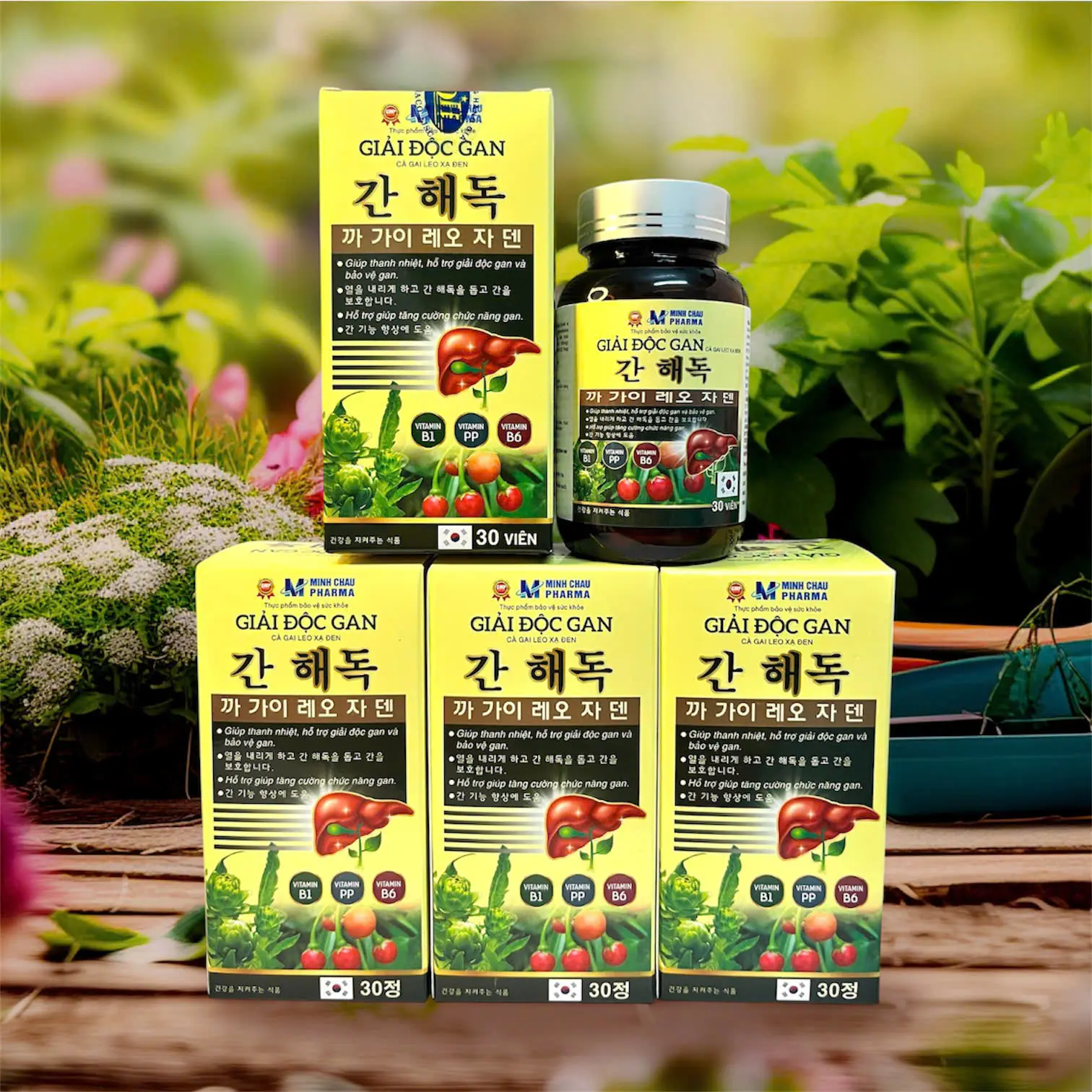 (Độc Quyền) Cà Gai Leo Xạ Đen 5000mg (Hộp 30v) Giải độc gan hỗ trợ tăng cường chức năng gan,, hạ men gan, viêm gan, gan nhiễm mỡ, mụn nhọt, vàng da