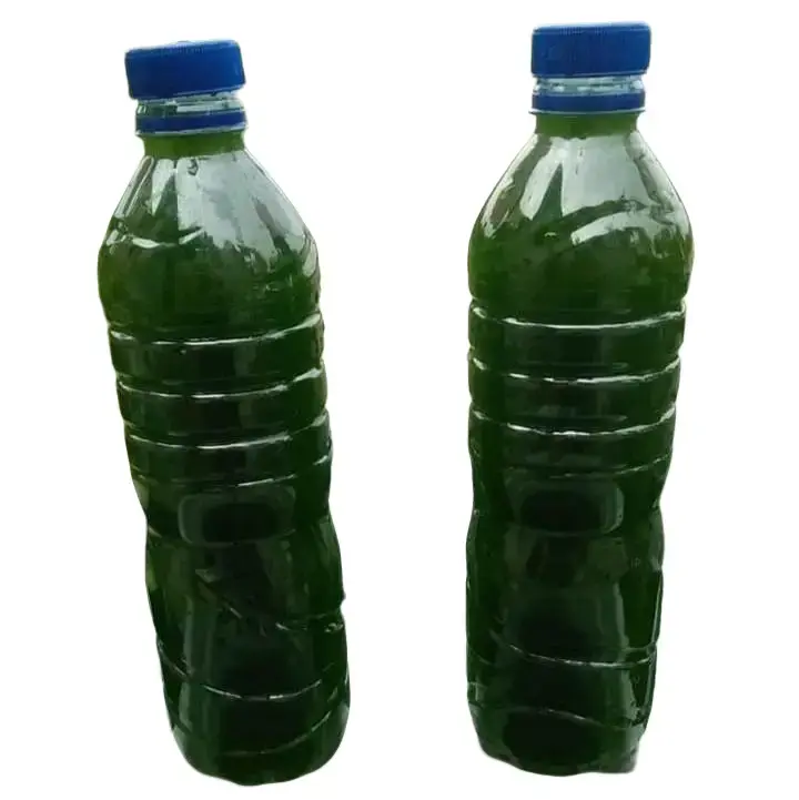 starter chlorella/green water,isi/botol 600ml
