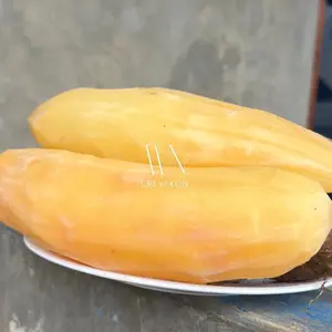 Ubi yakon Besar 1kg isi 1-3 Bergaransi