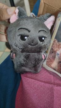 Product Review of Plushie Keyring Doll Enhypen from i**💜 0